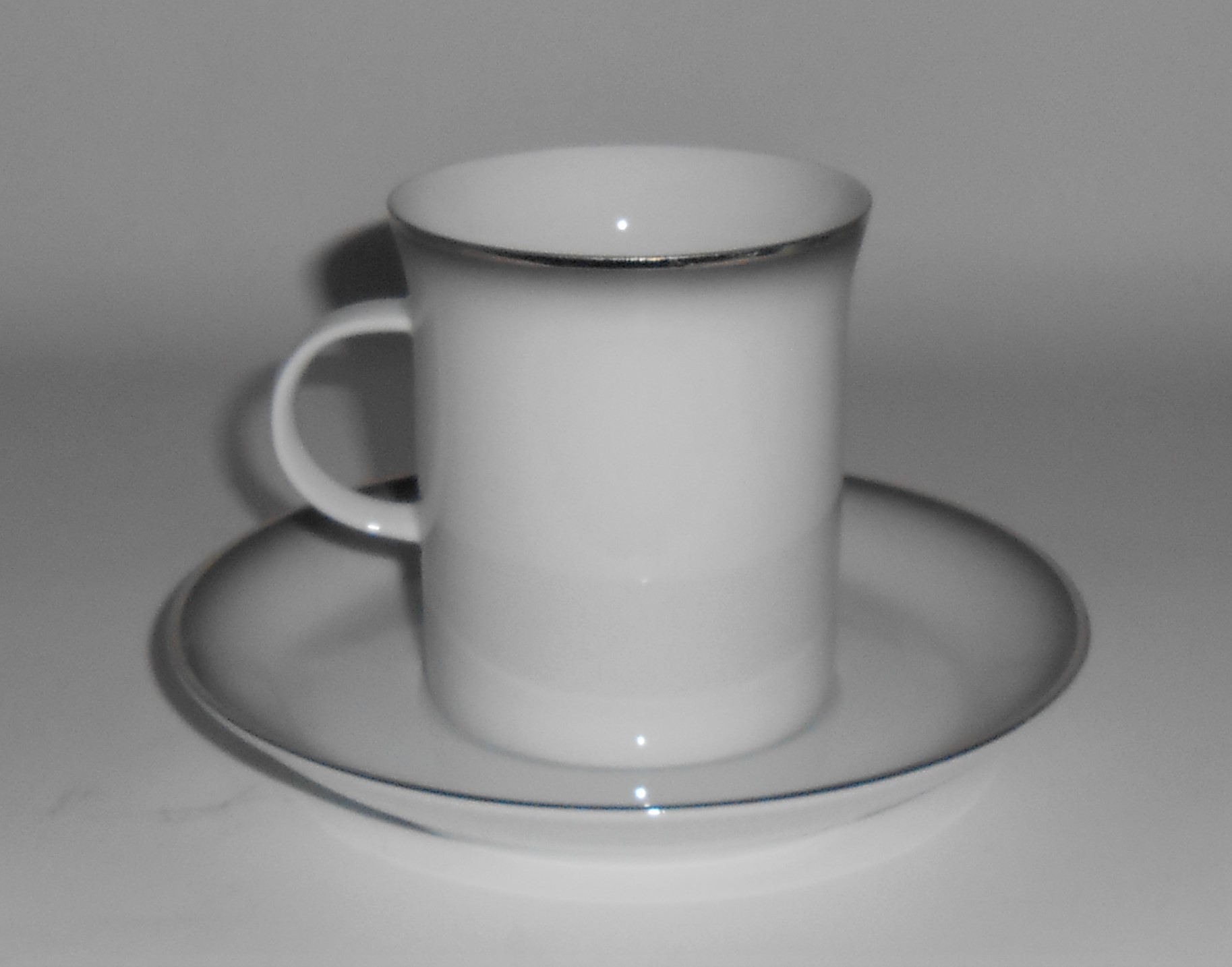 Rosenthal Porcelain China Evensong Cup & Saucer Set