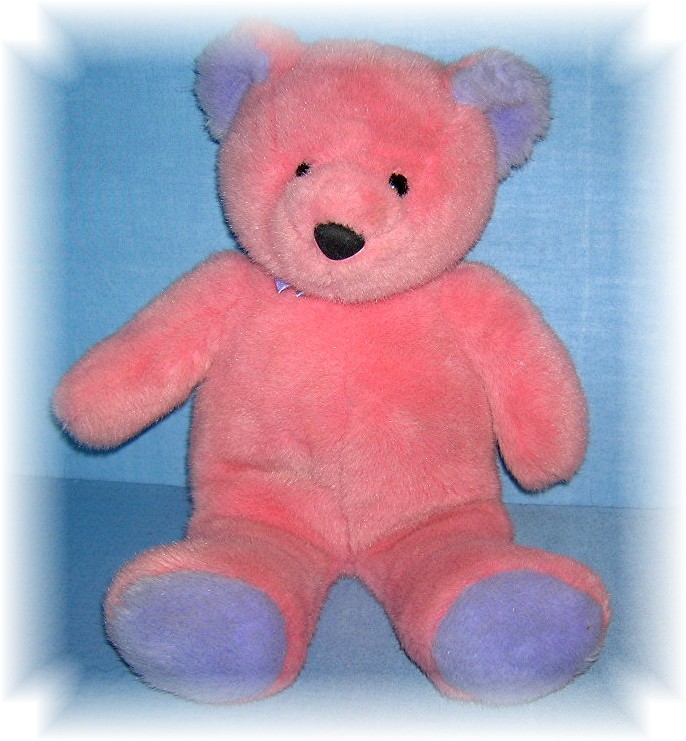 17 Inch Soft & Cuddly Pink & Lavender Bear