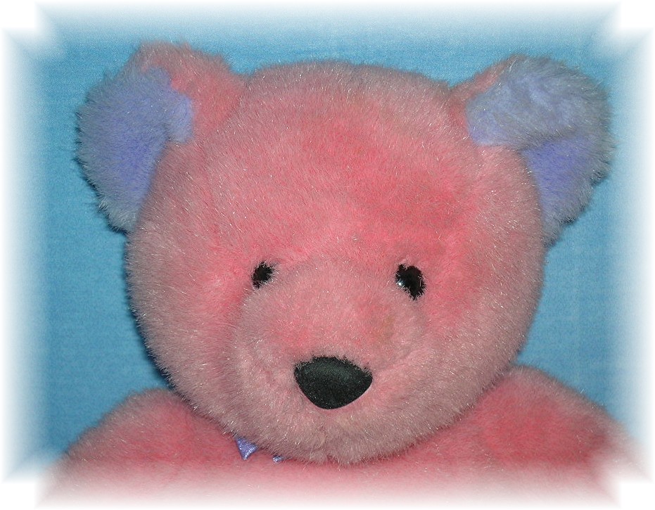 17 Inch Soft & Cuddly Pink & Lavender Bear
