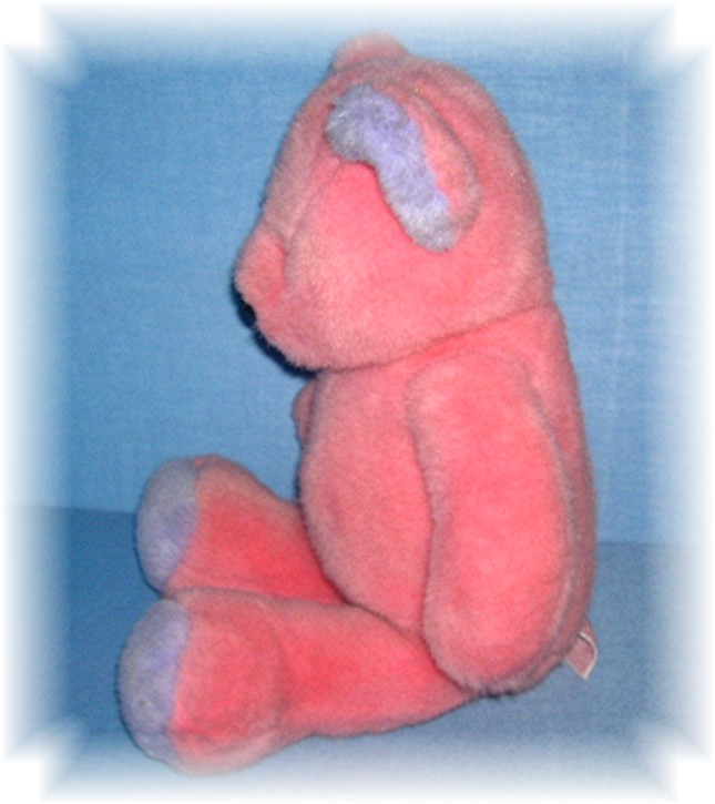 17 Inch Soft & Cuddly Pink & Lavender Bear