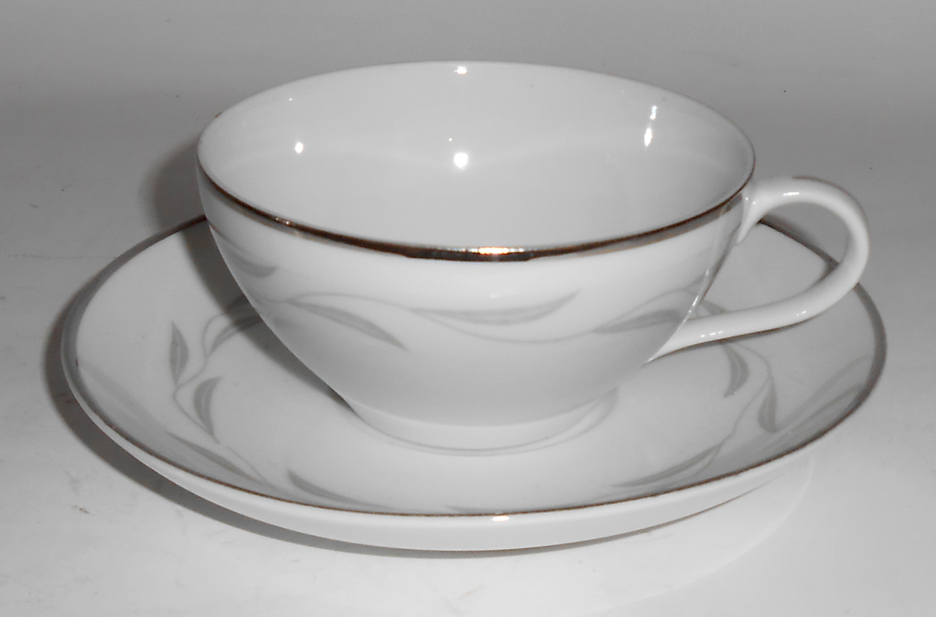 Nasco Fine China Japan Porcelain Paris Night Cup/Saucer