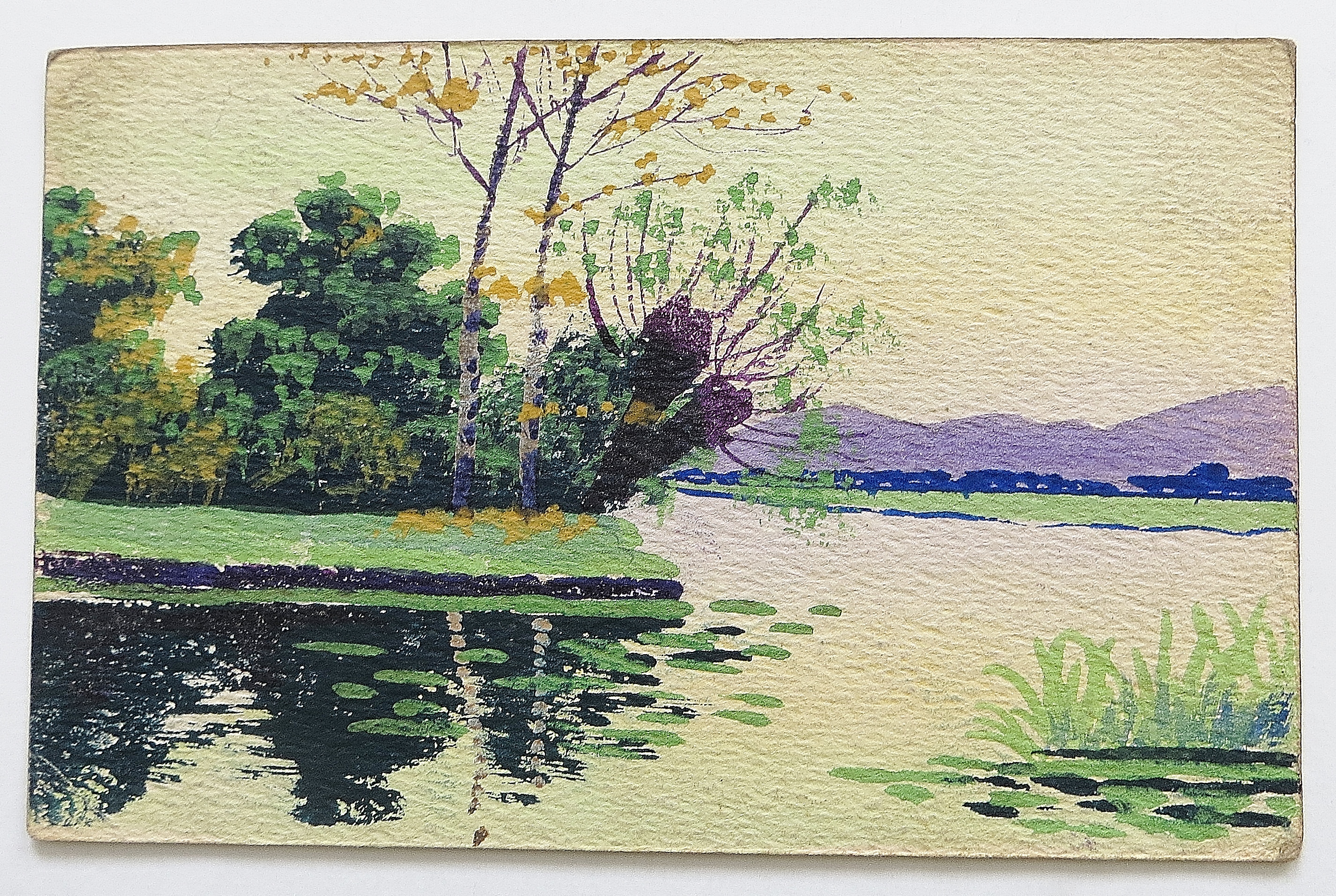 Shot Of A Pond & Trees