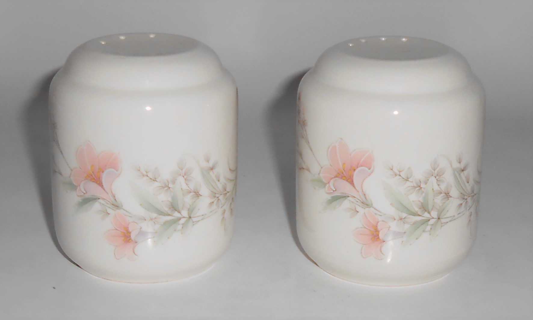 Noritake China Keltcraft Misty Isle Deerfield Salt & Pe