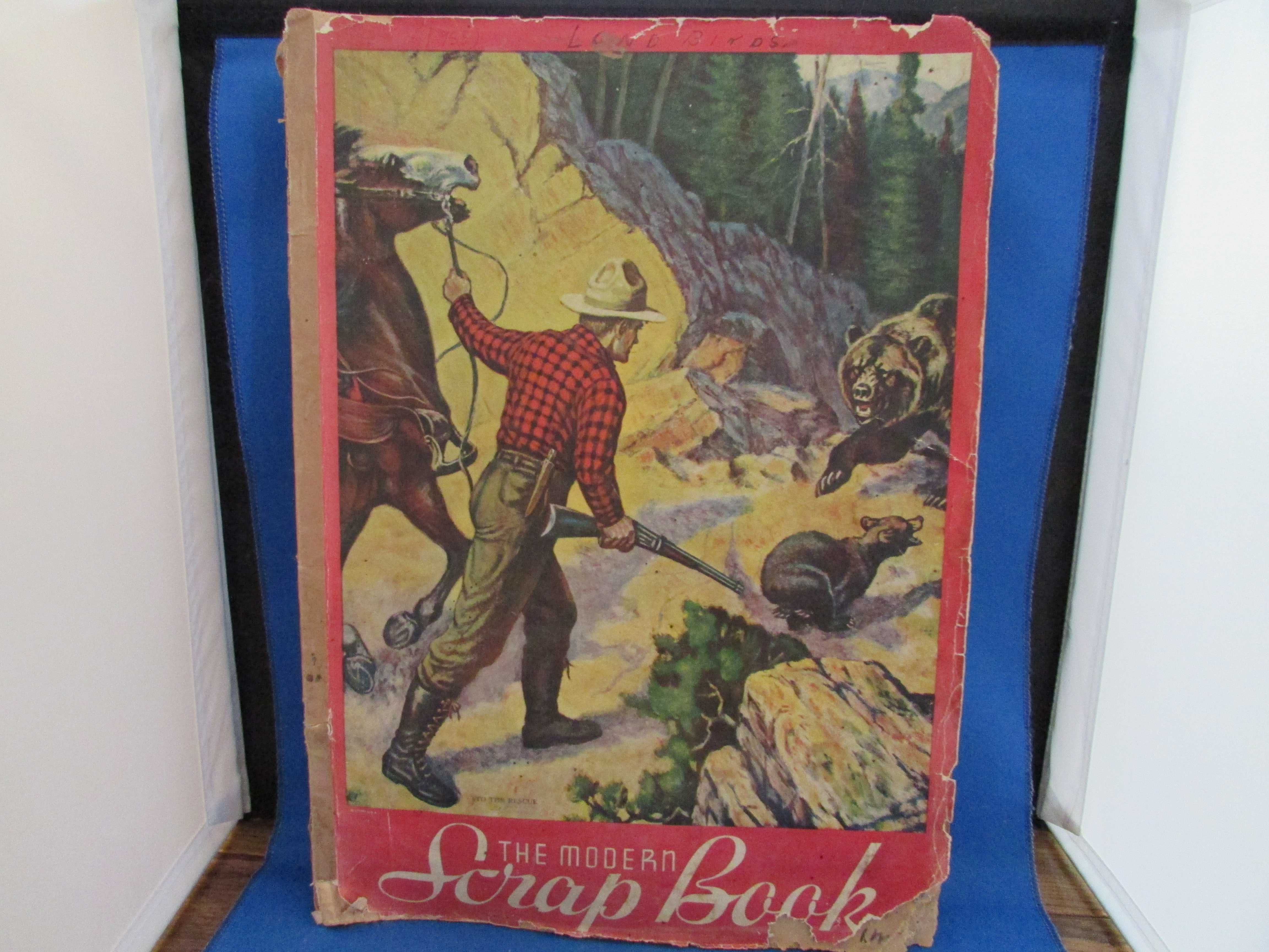 Vintage Scrapbook of Birds