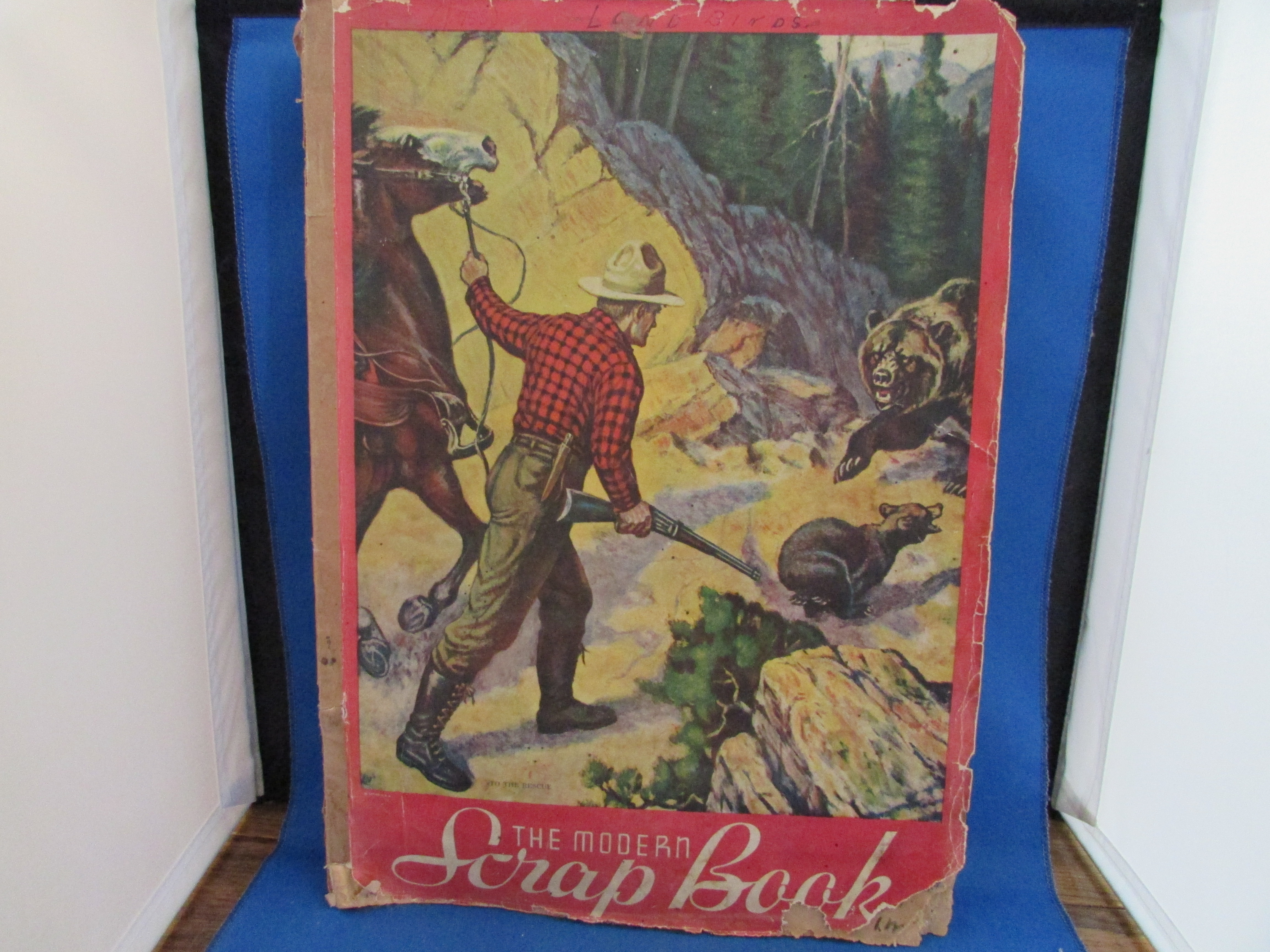 Vintage Scrapbook of Birds